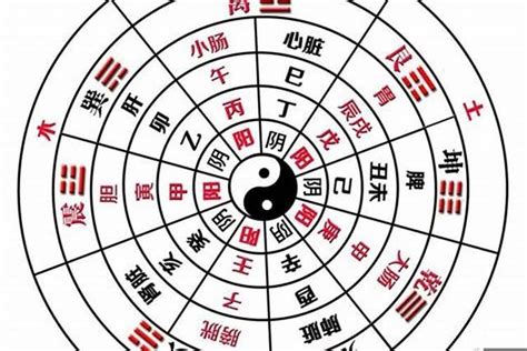 全阳八字|什么是全阳八字 好不好